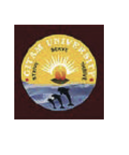 GITAM University